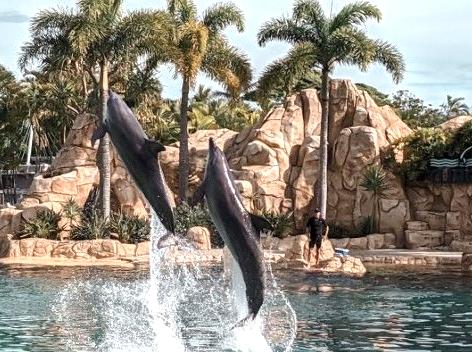 Gold Coast Amusement Parks Overview