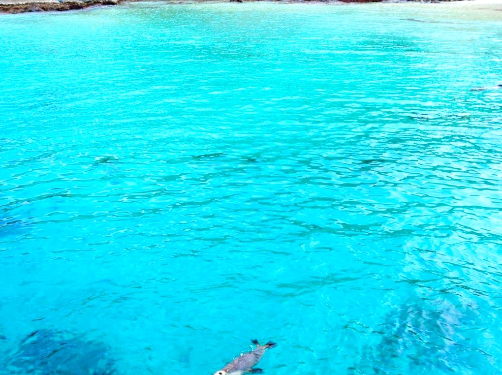 Eyre Peninsula Travel Insights: A Complete Guide