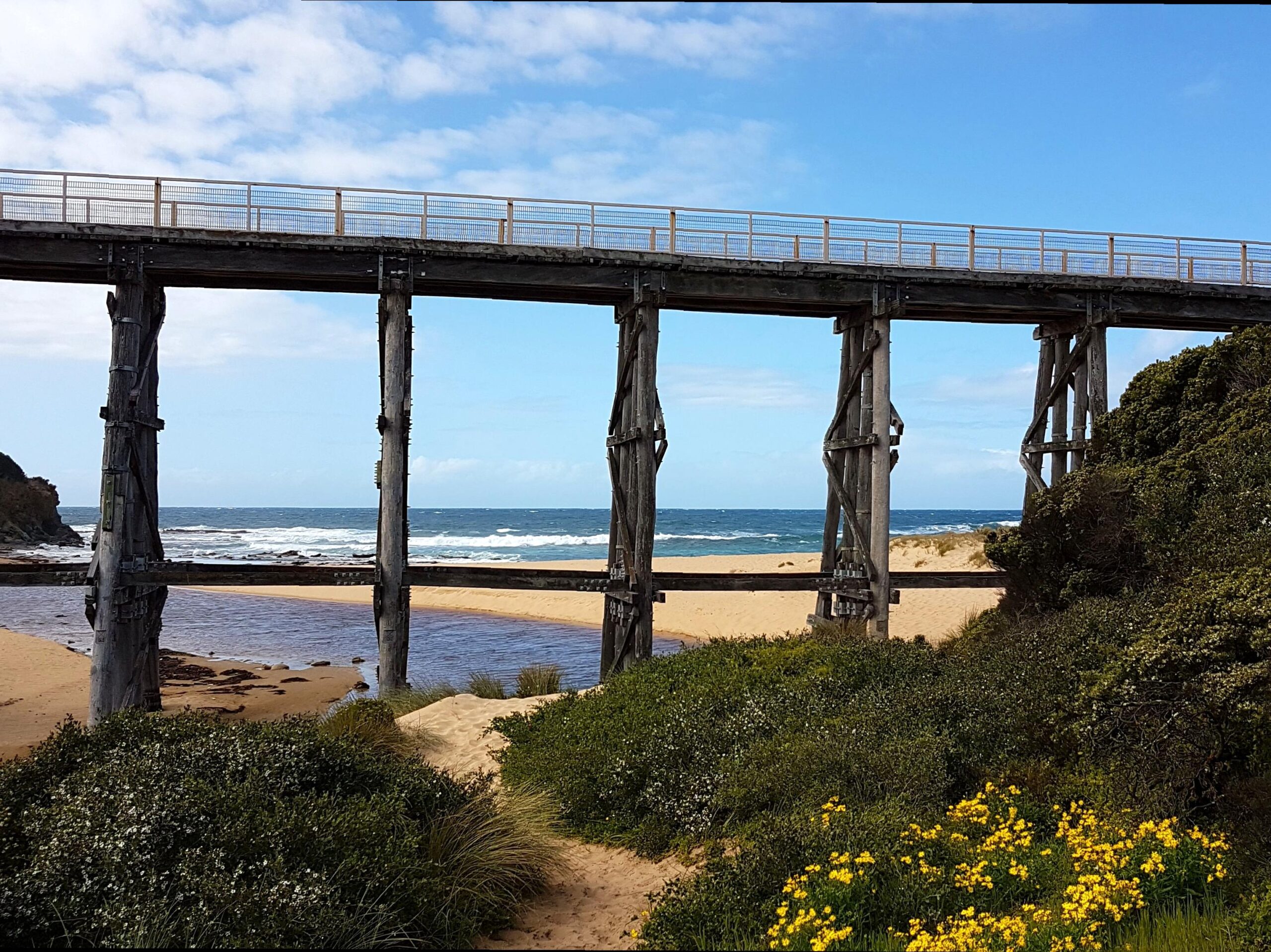 Cycling Experiences on the Bass Coast Rail Trail
