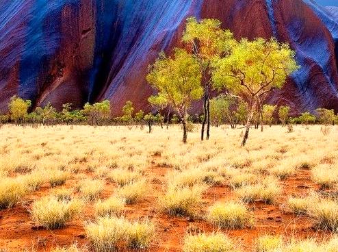 Rejuvenate yourself in 7 tranquil places within Australian landscapes.