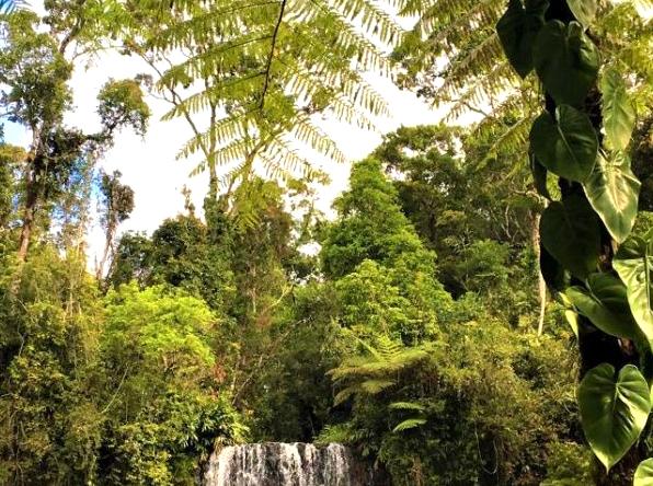 Experience 7 peaceful destinations in Australia for nature immersion.