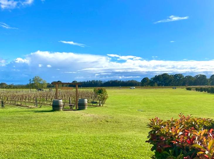 Your Ultimate Guide to Hunter Valley Adventures