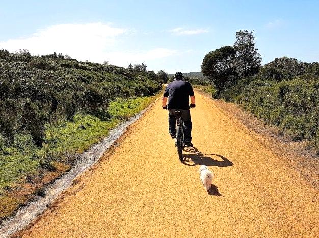 Discovering Outdoor Fun on the Bass Coast Rail Trail