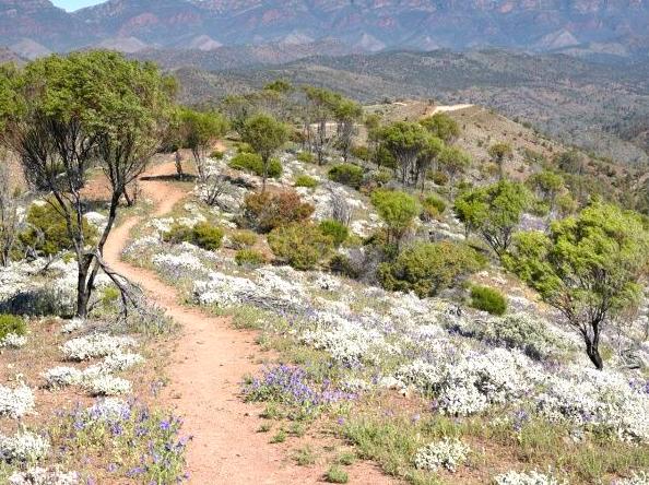 Discovering the Flinders Ranges Landscape