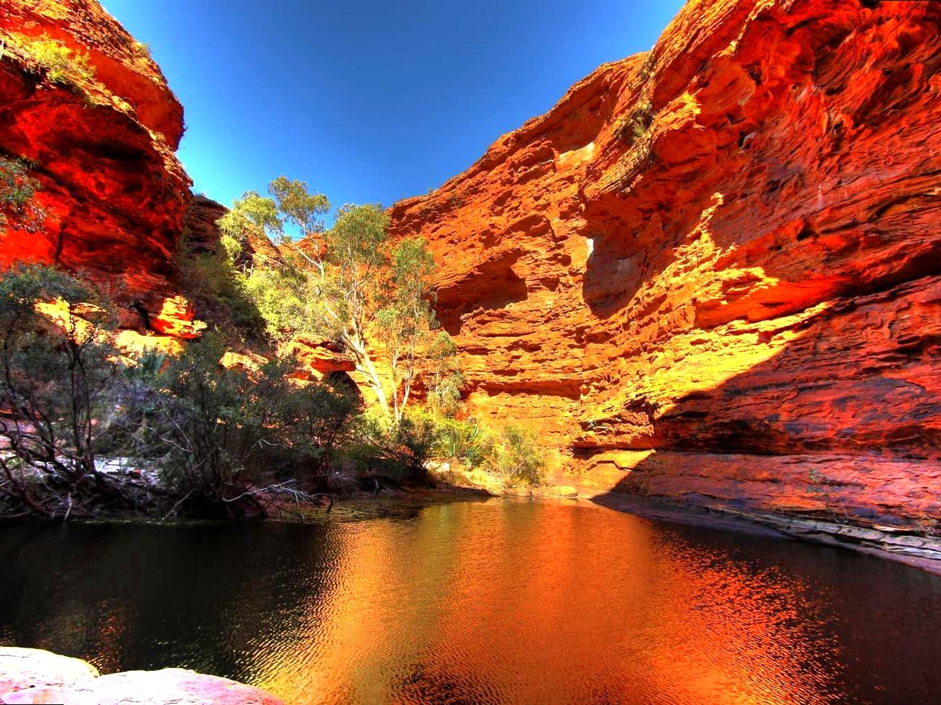Your Complete Guide to Kings Canyon