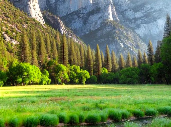 Navigating Kings Canyon: A Helpful Guide