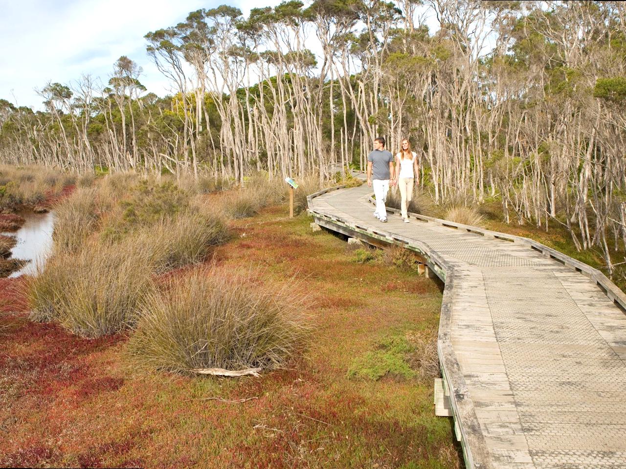 Wetlands and Avian Refuge at Rhyll Inlet State Wildlife Reserve