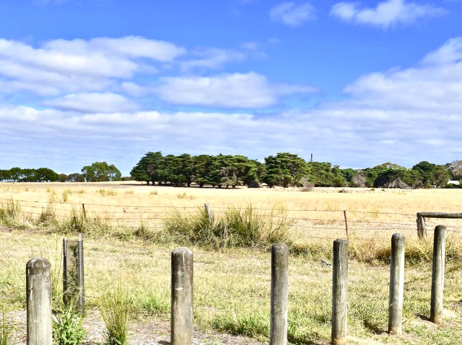 Rhyll Inlet Wildlife Reserve: Wetlands as Bird Haven