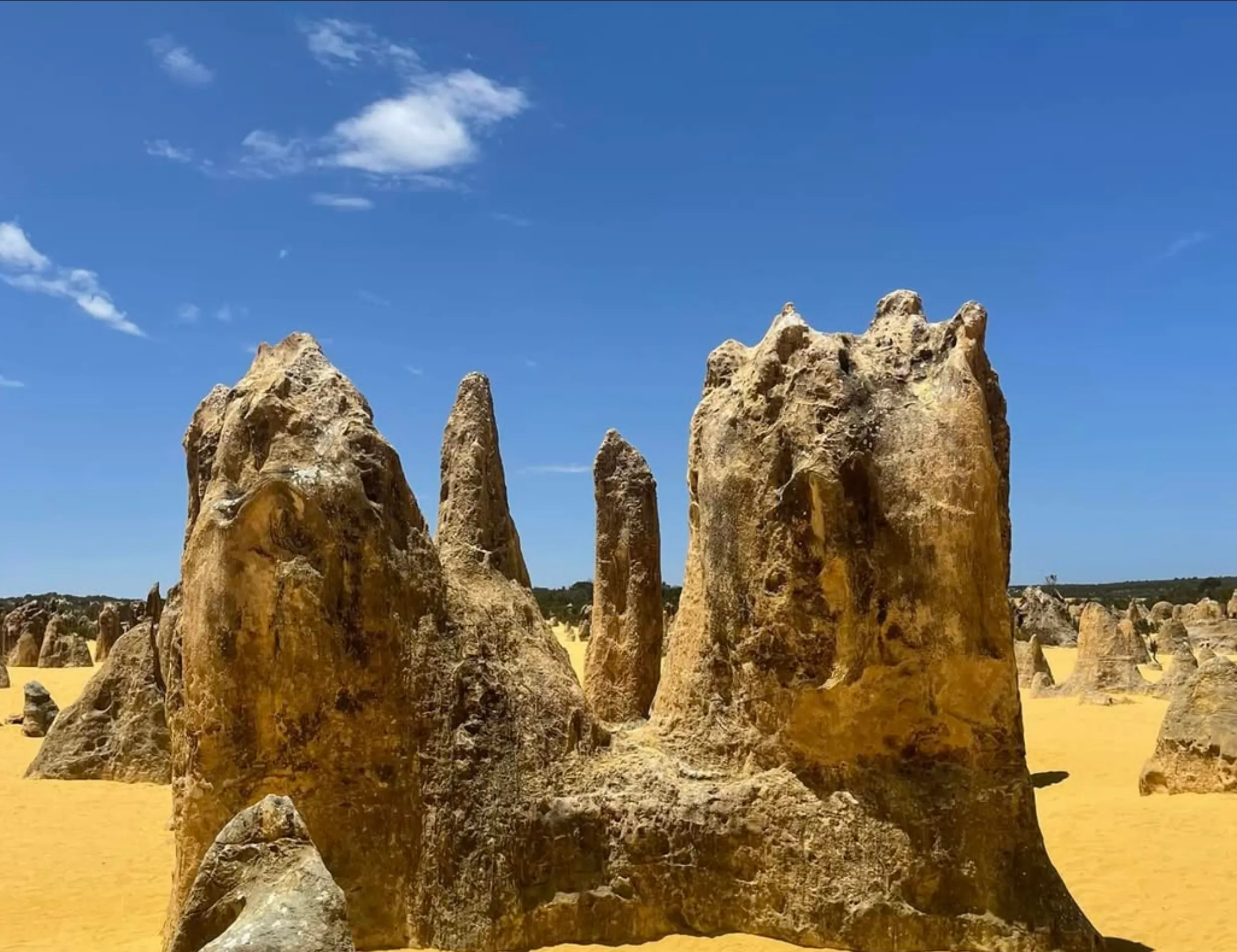 Pinnacles Desert tour