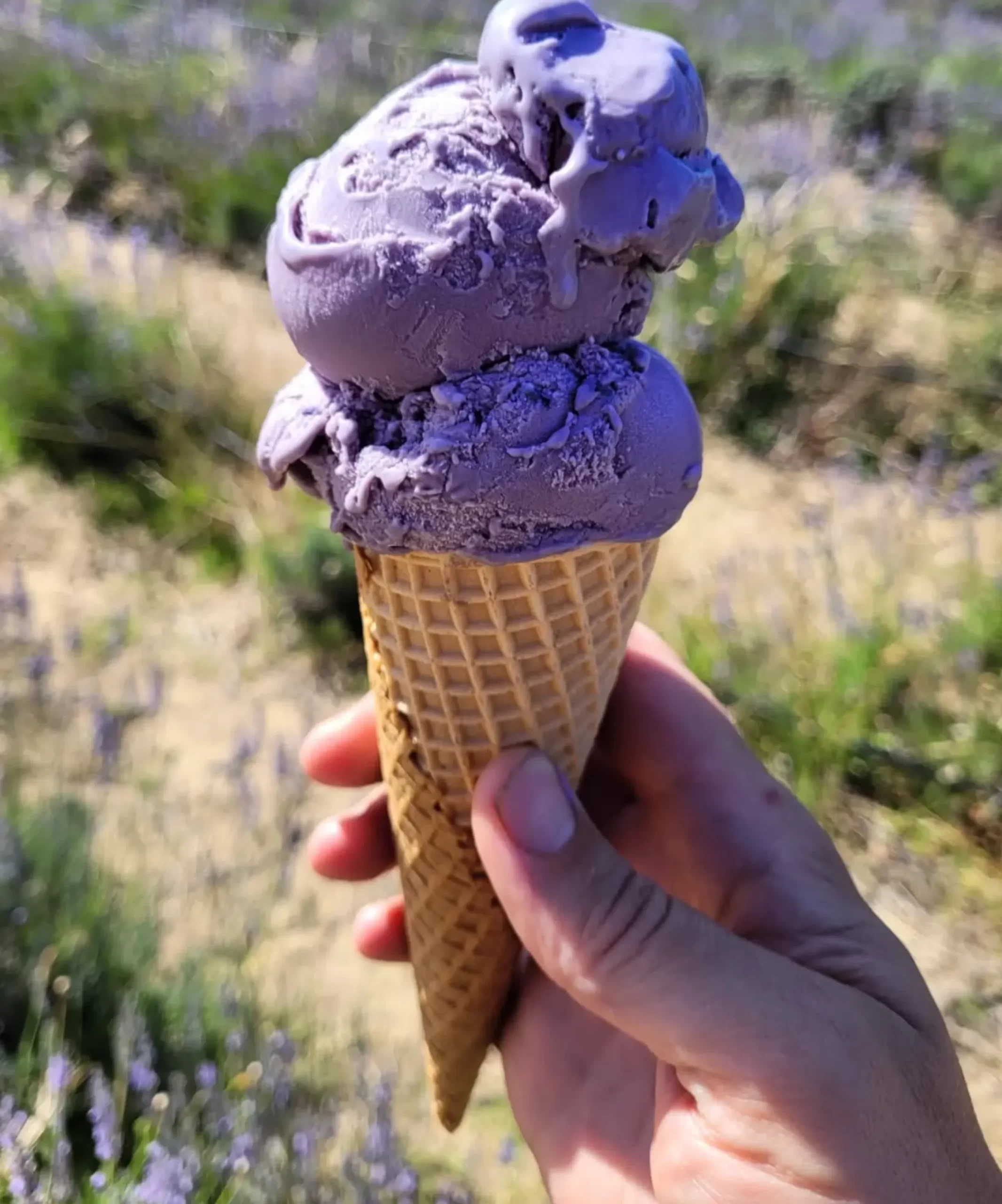 lavender ice cream, Pinnacles