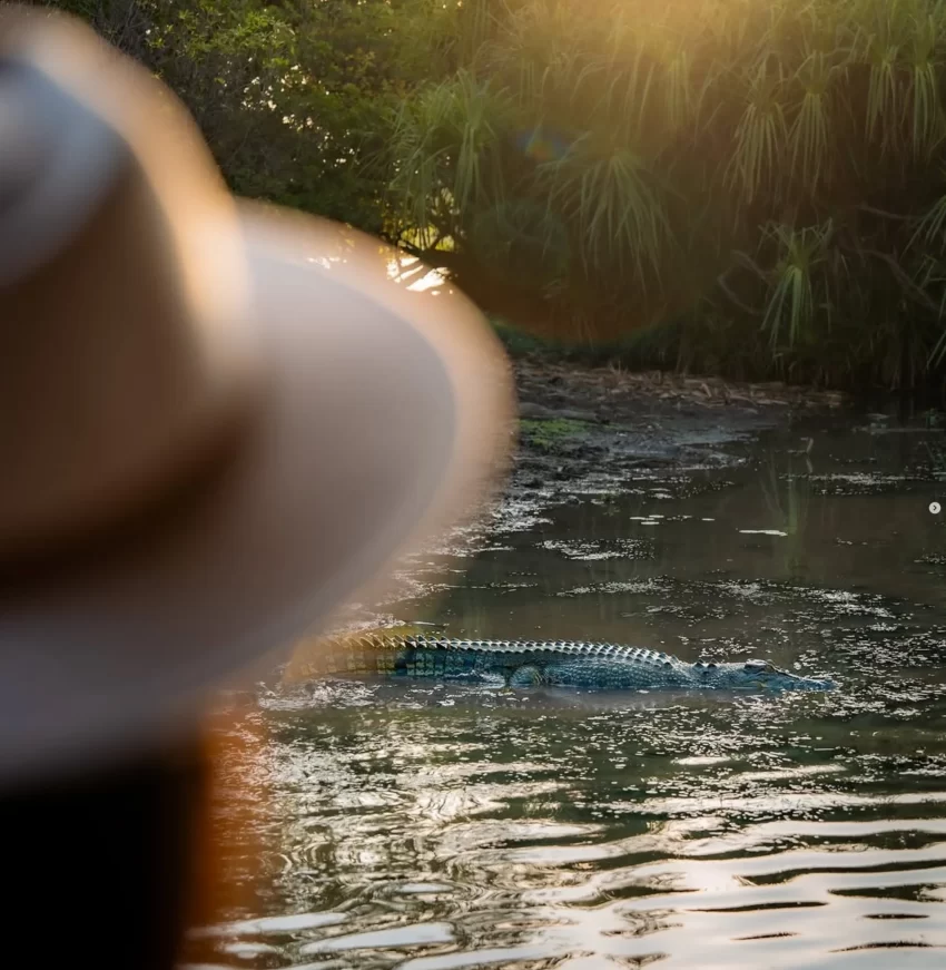Wear to Kakadu