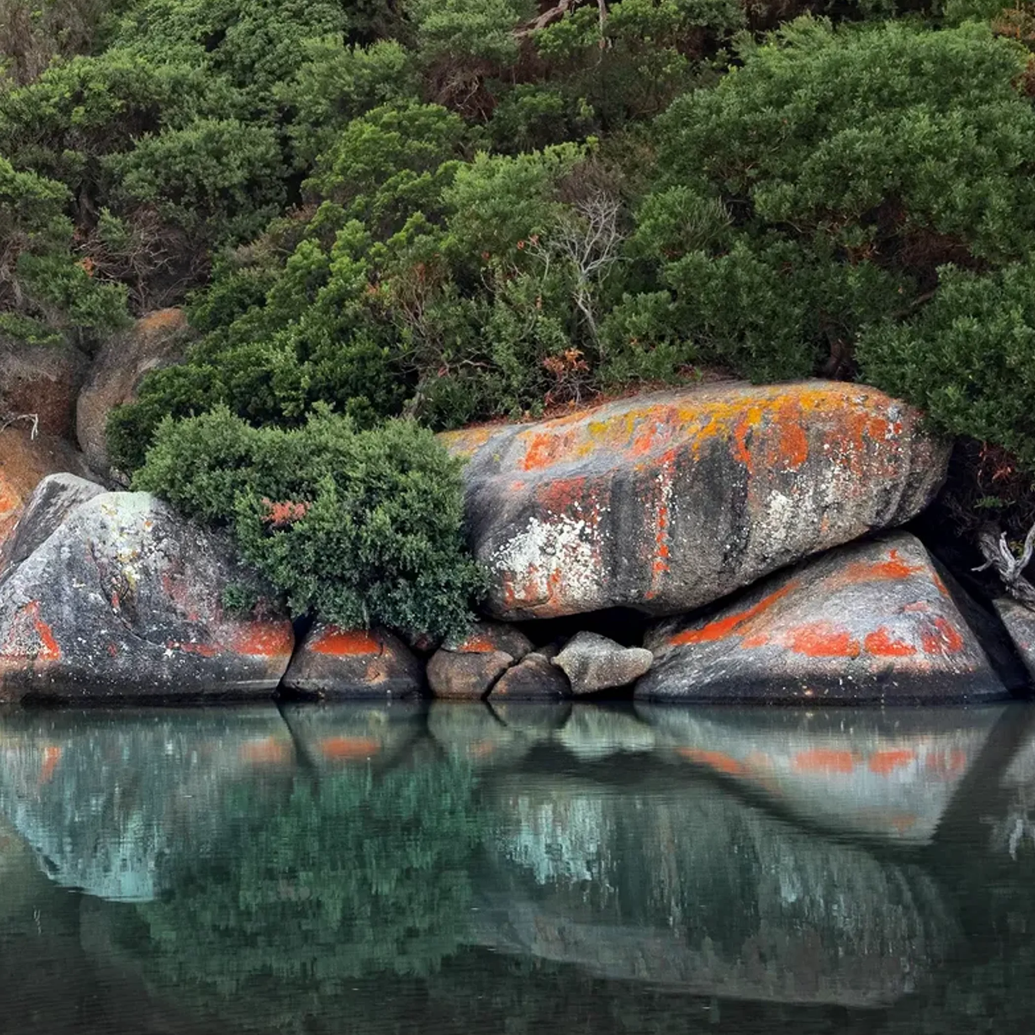wilsons promontory national park scenery