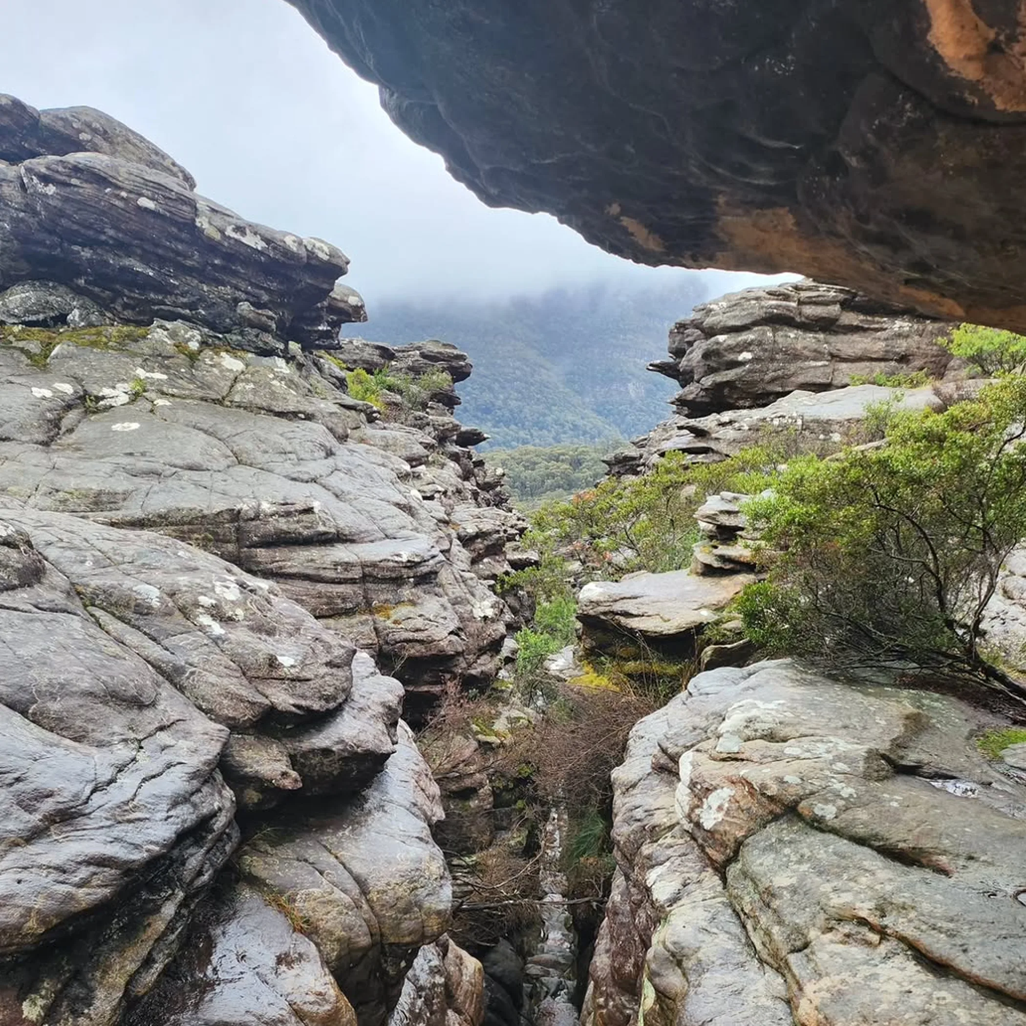 victorian national park landscape