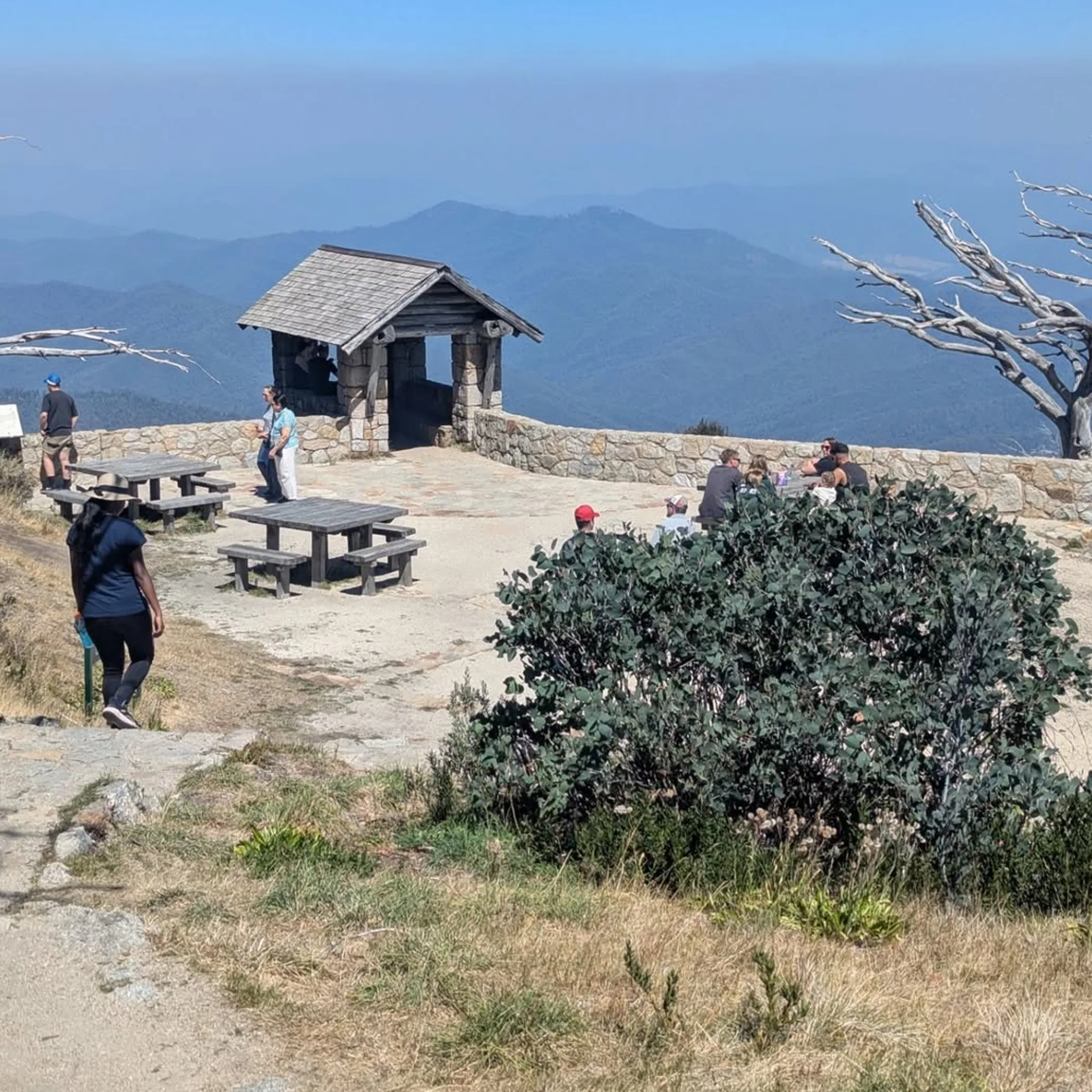 mount buffalo national park vista