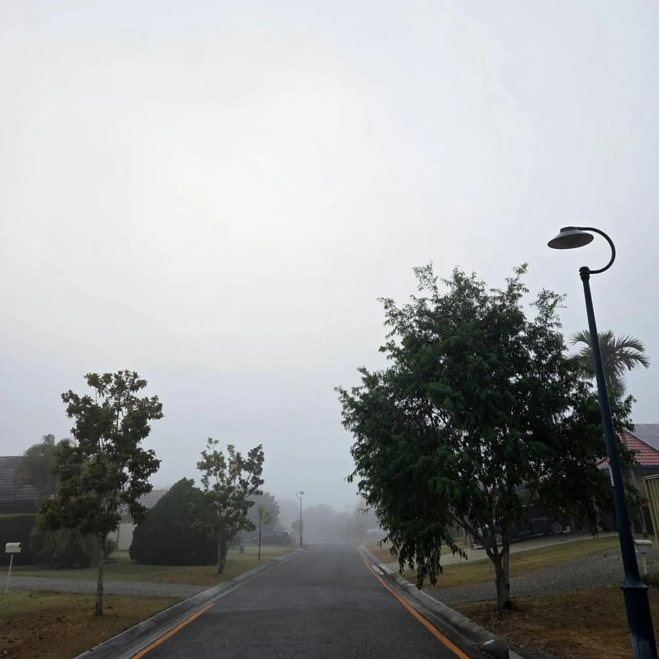 brisbane weather and seasonal conditions