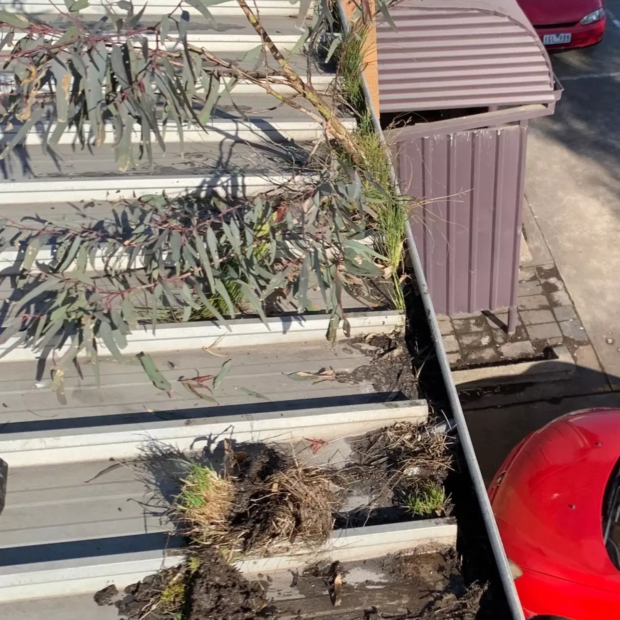 gutter debris and blockage
