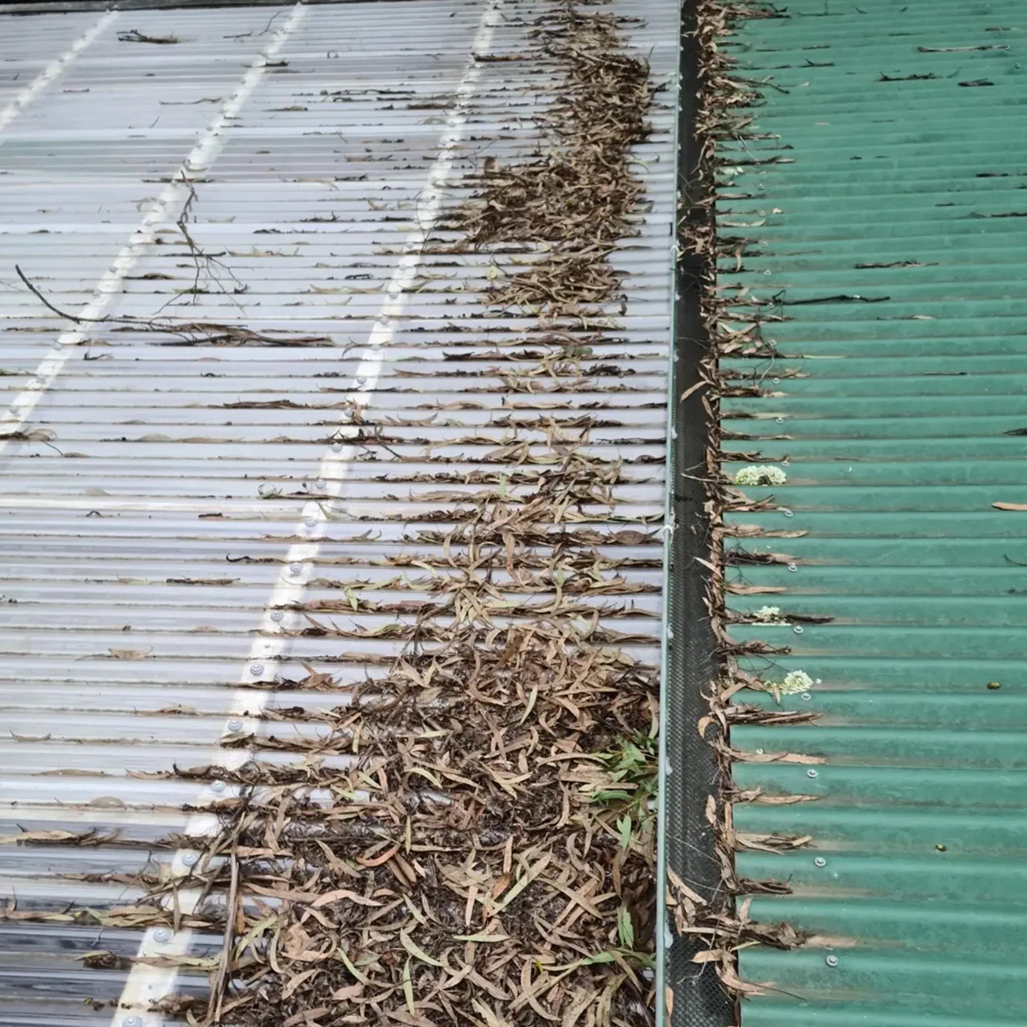 roof debris in gutter