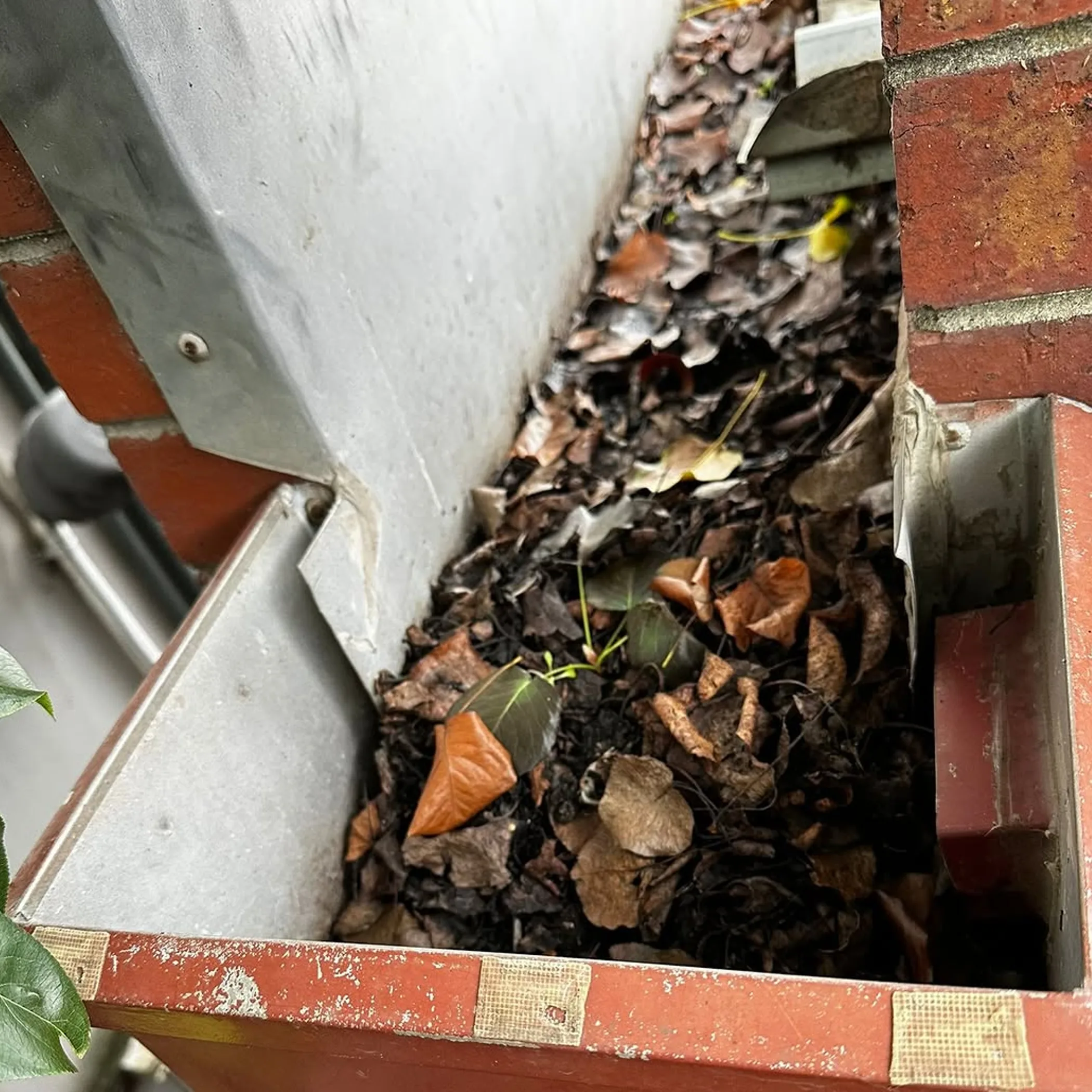 clogged gutter debris needing maintenance
