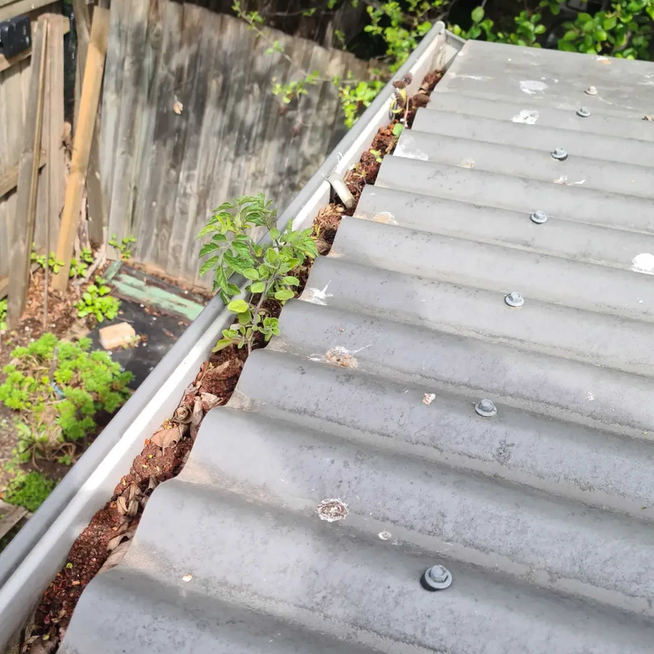 clogged roof gutter causing leaks