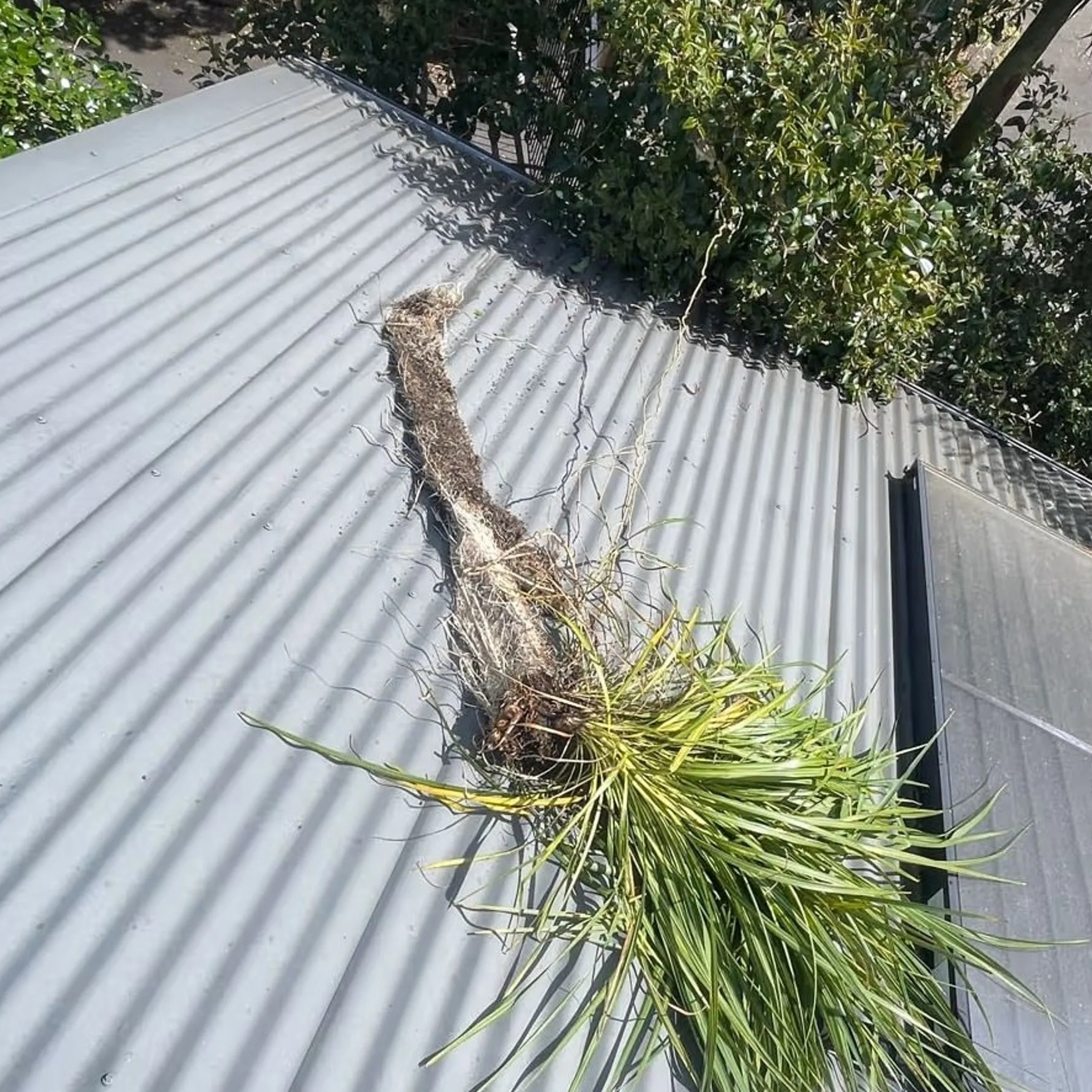 gutter blockage and roof leak maintenance