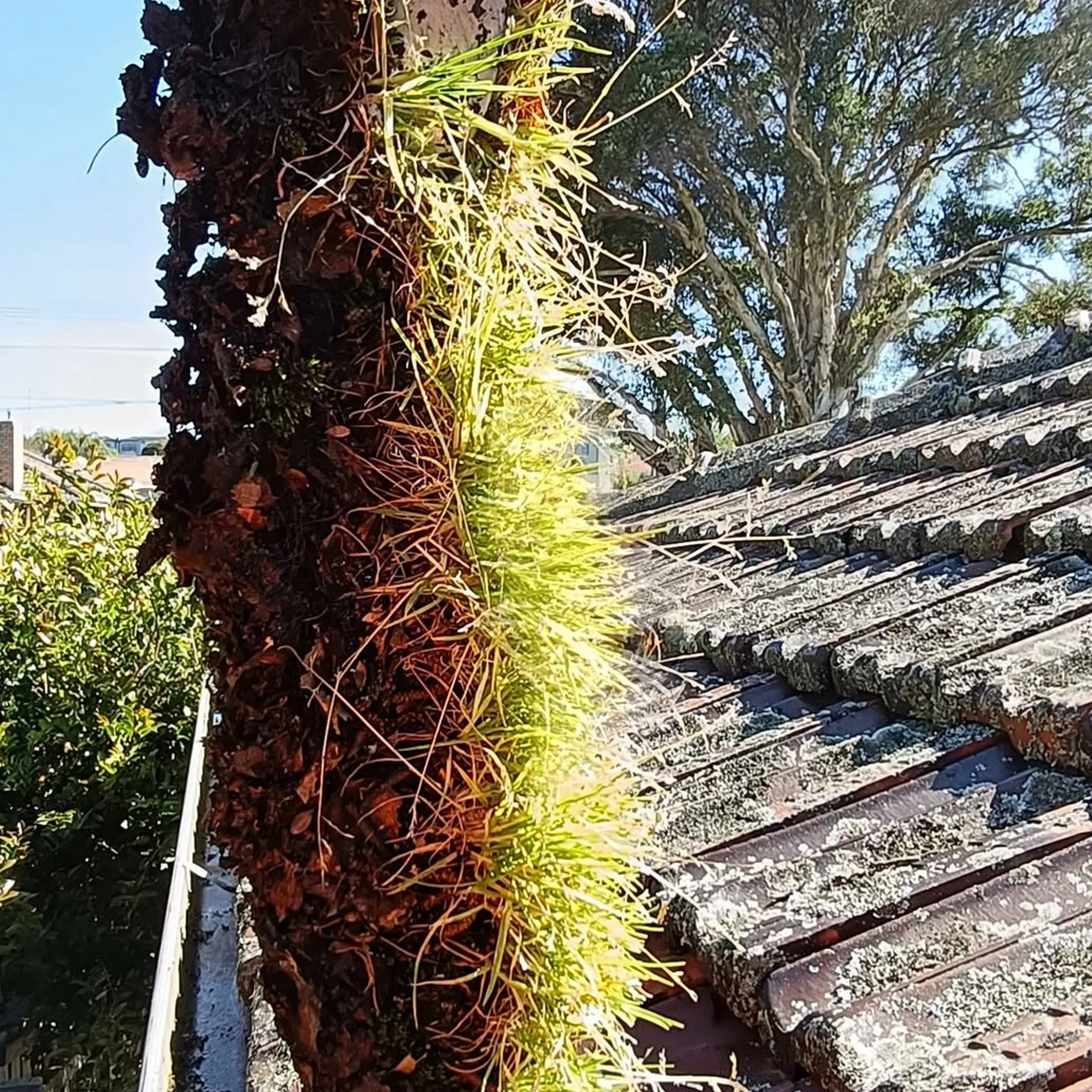 severely blocked melbourne roof gutter